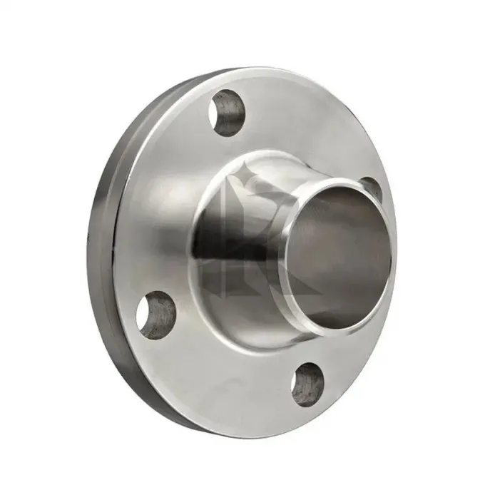 Titanium Gr1 Flange ASME B16.5 Compliant Premium Metal Product