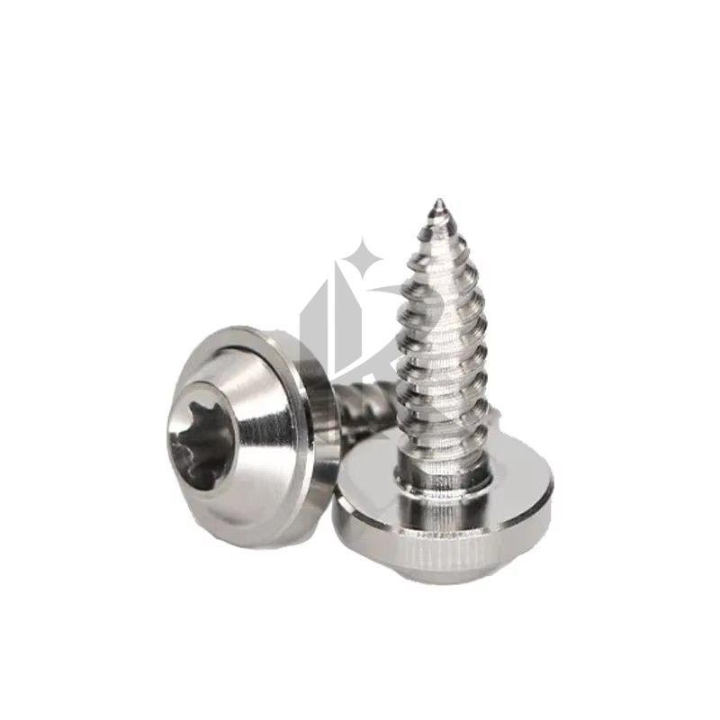 Titanium Self Tapping Screw